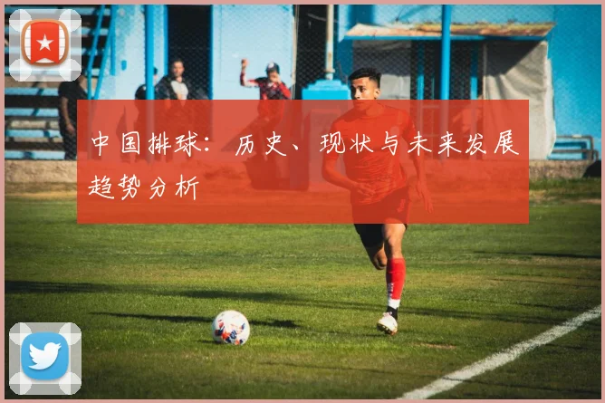 中国排球:历史、现状与未来发展趋势分析
